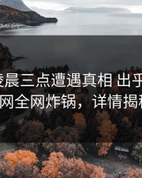 网红在凌晨三点遭遇真相 出乎意料，91网全网炸锅，详情揭秘