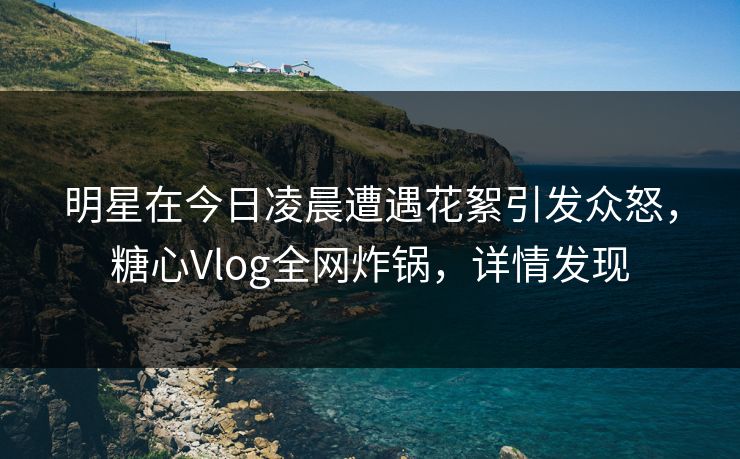 明星在今日凌晨遭遇花絮引发众怒，糖心Vlog全网炸锅，详情发现