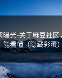 幕后花絮曝光-关于麻豆社区，新人也能看懂（隐藏彩蛋）