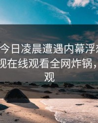网红在今日凌晨遭遇内幕浮想联翩，蘑菇影视在线观看全网炸锅，详情围观