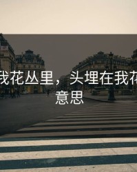 头埋在我花丛里，头埋在我花丛里啥意思