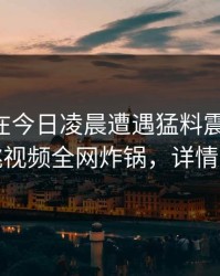 当事人在今日凌晨遭遇猛料震撼人心，樱桃视频全网炸锅，详情查看