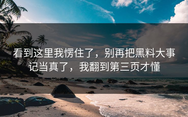 看到这里我愣住了，别再把黑料大事记当真了，我翻到第三页才懂